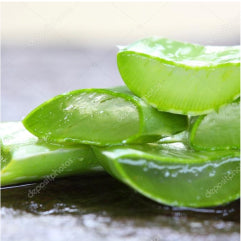 ALOE VERA<br>EXTRACT