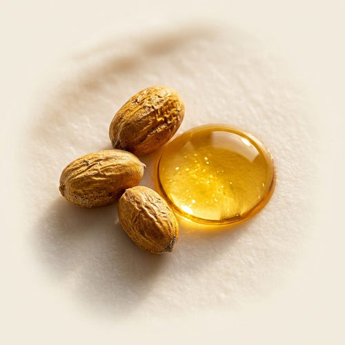 Jojoba