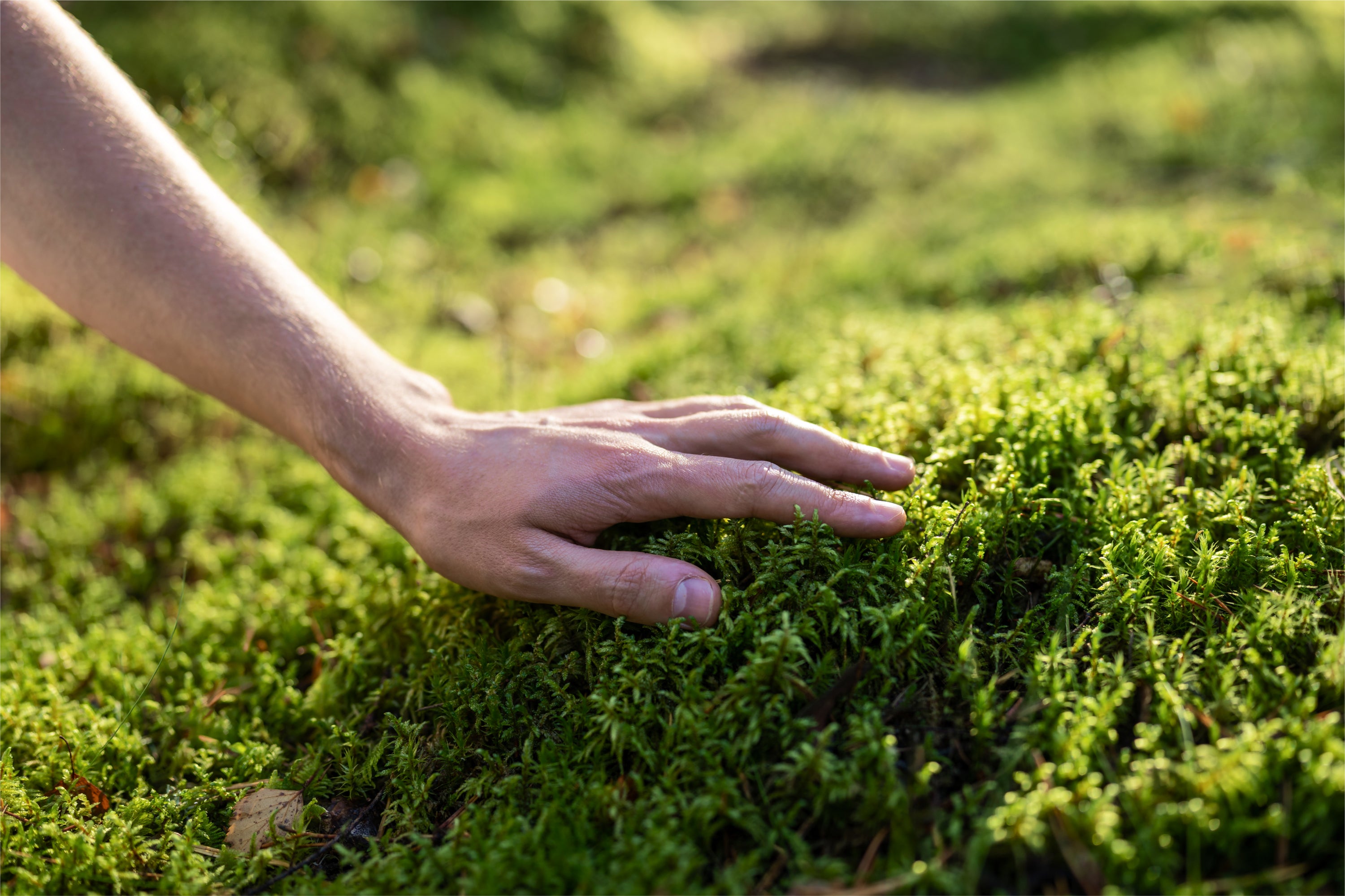 Bionera Switzerland- Innovative Naturkosmetik mit belegter Wirksamkeit